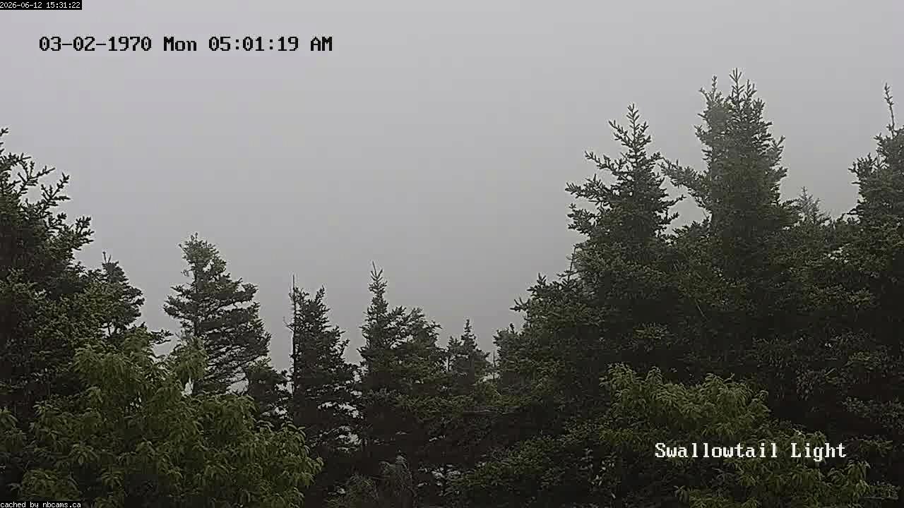 Web Cam image of Grand Manan (Swallowtail Light House)
