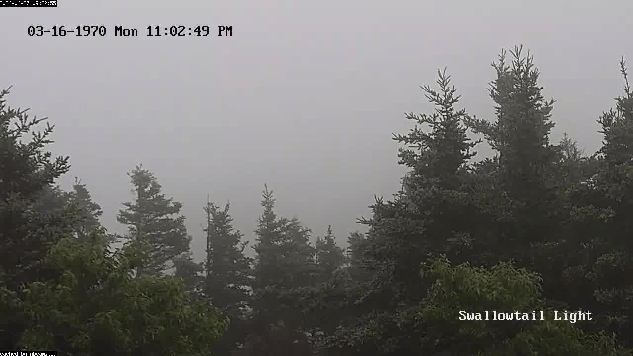 Web Cam image of Grand Manan (Swallowtail Light House)