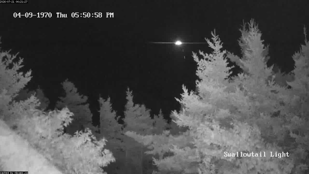 Web Cam image of Grand Manan (Swallowtail Light House)