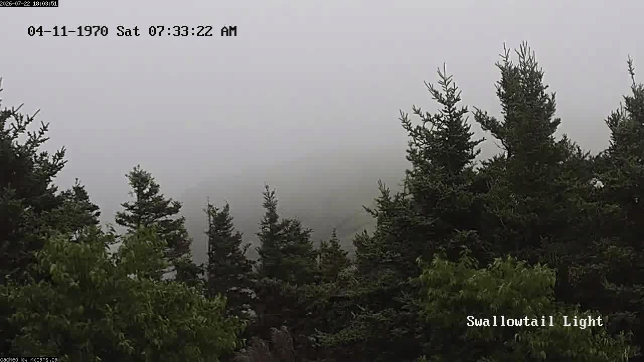 Web Cam image of Grand Manan (Swallowtail Light House)