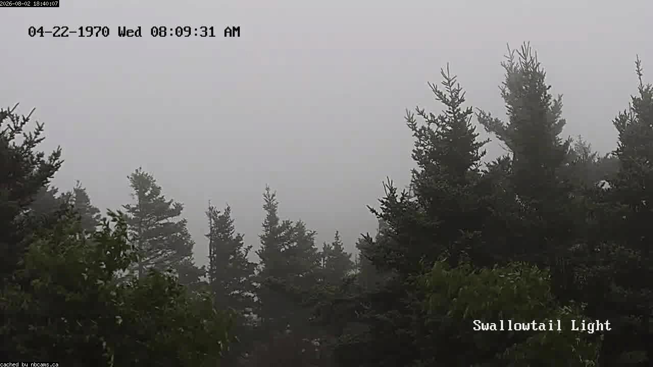 Web Cam image of Grand Manan (Swallowtail Light House)