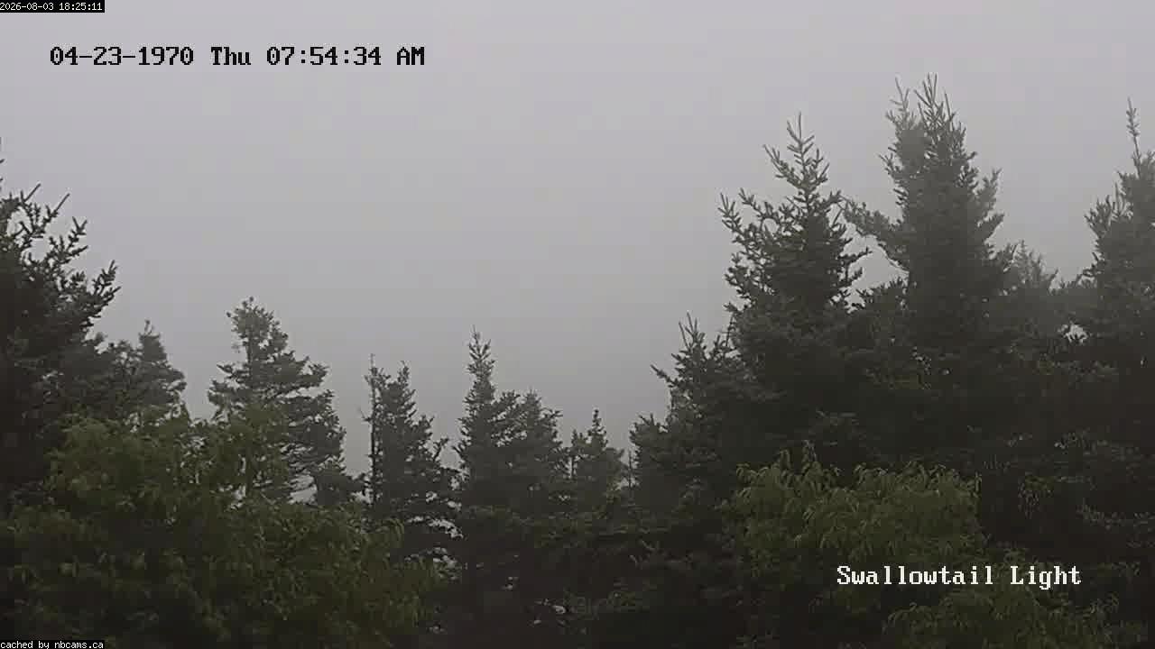 Web Cam image of Grand Manan (Swallowtail Light House)