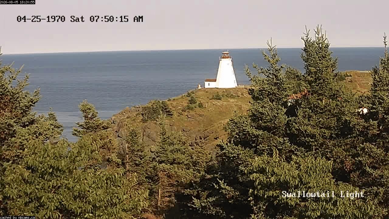 Web Cam image of Grand Manan (Swallowtail Light House)