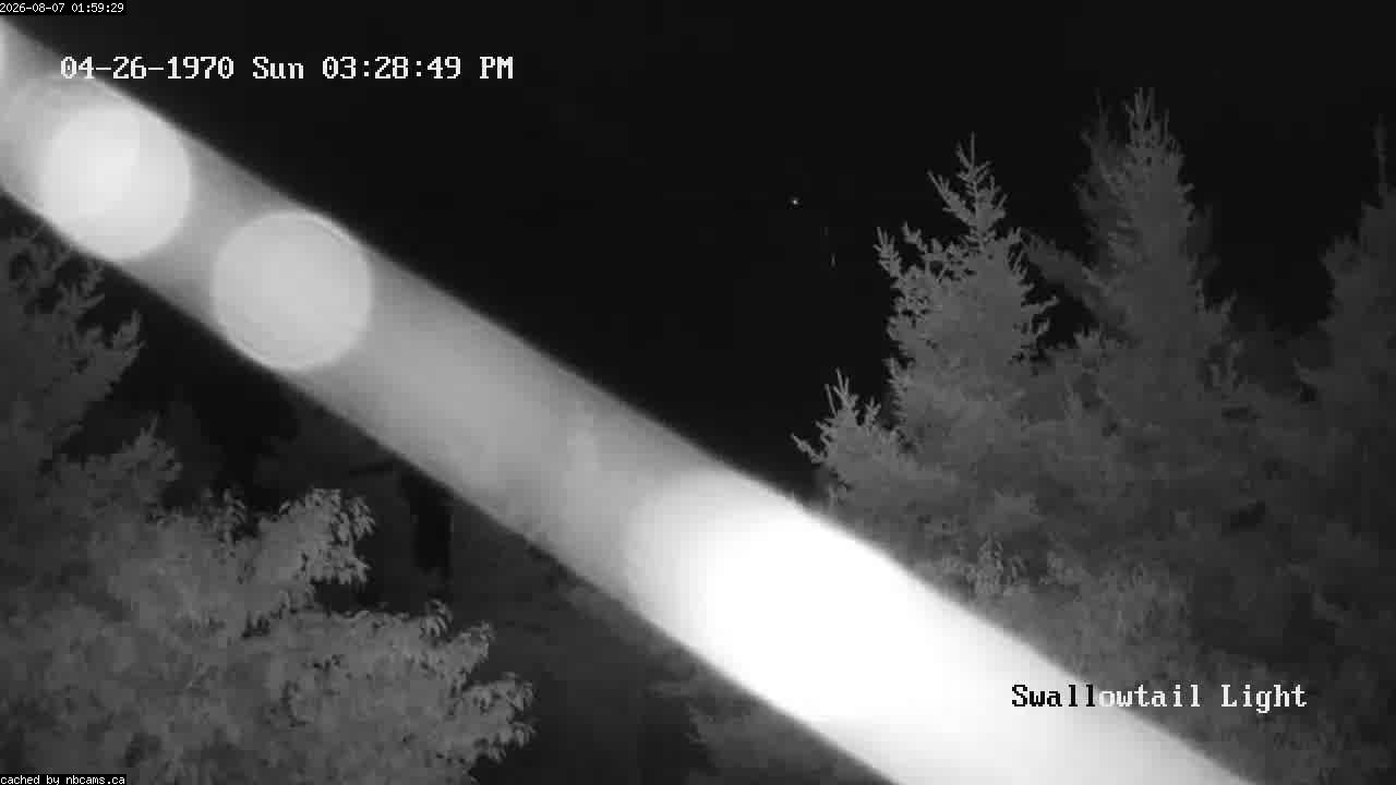 Web Cam image of Grand Manan (Swallowtail Light House)