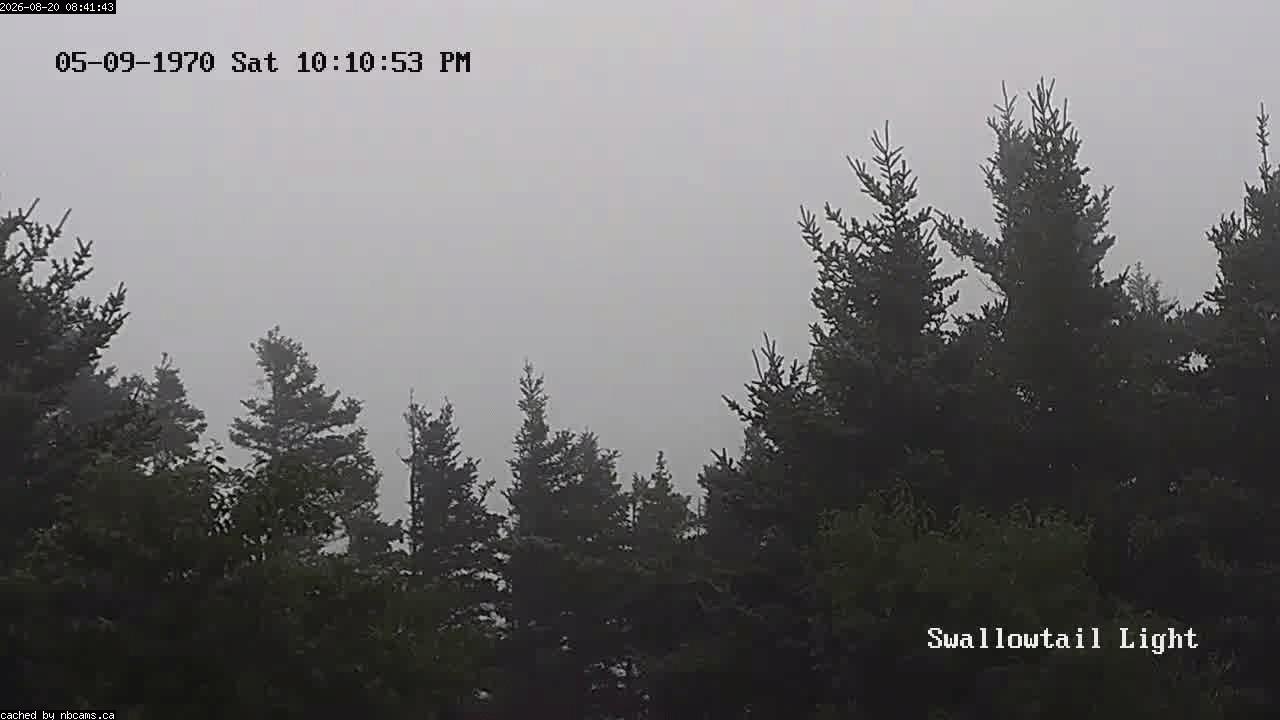 Web Cam image of Grand Manan (Swallowtail Light House)