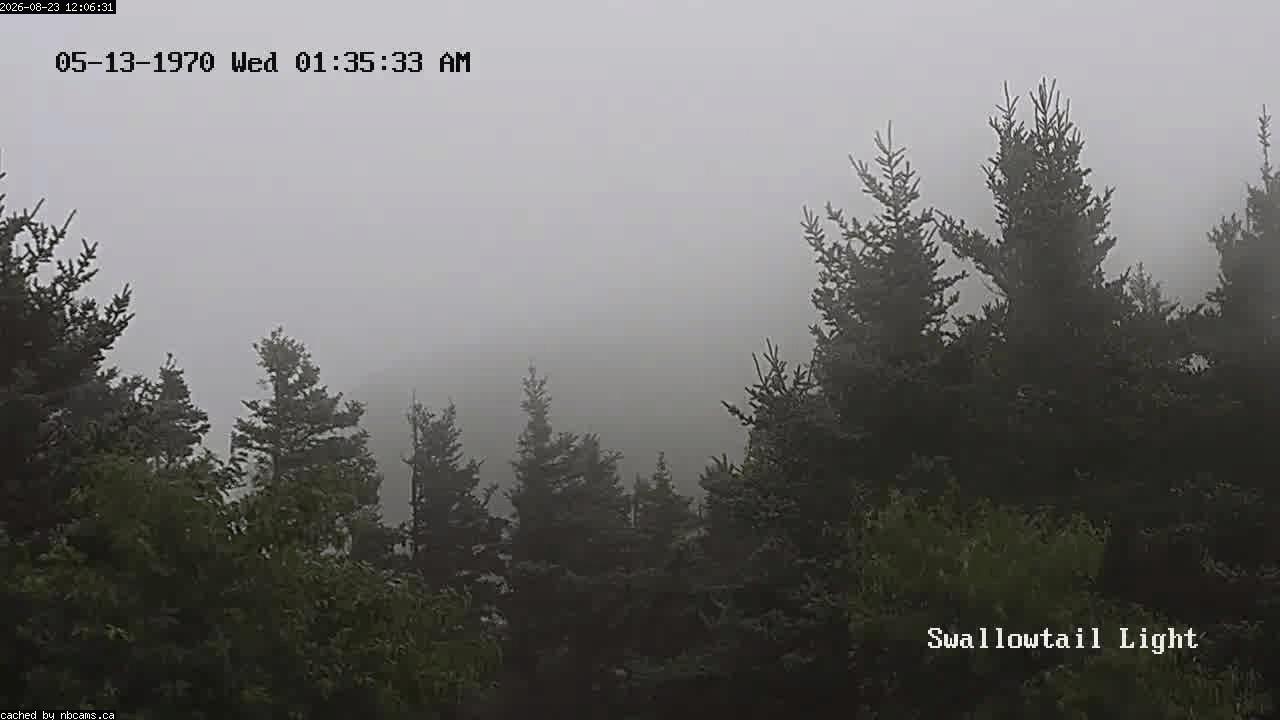 Web Cam image of Grand Manan (Swallowtail Light House)