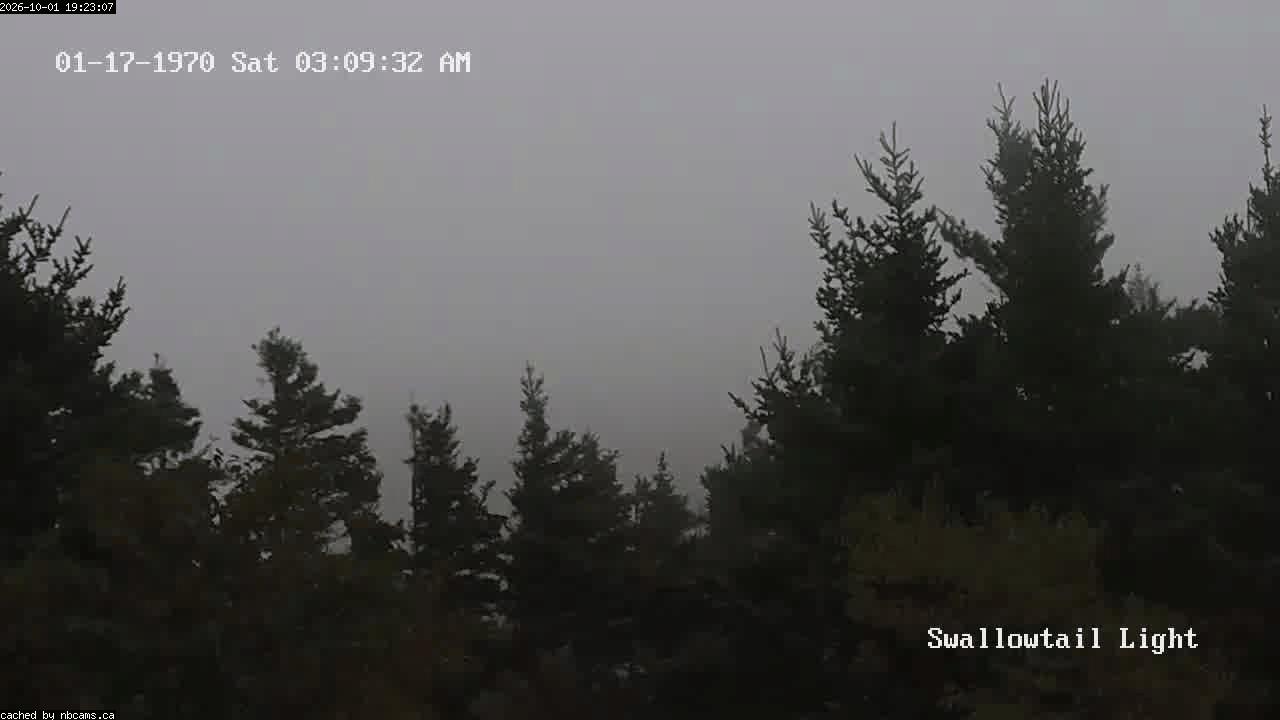 Web Cam image of Grand Manan (Swallowtail Light House)