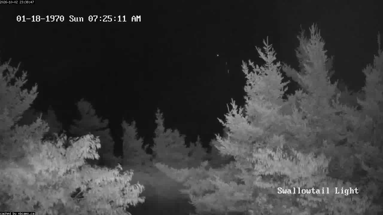 Web Cam image of Grand Manan (Swallowtail Light House)