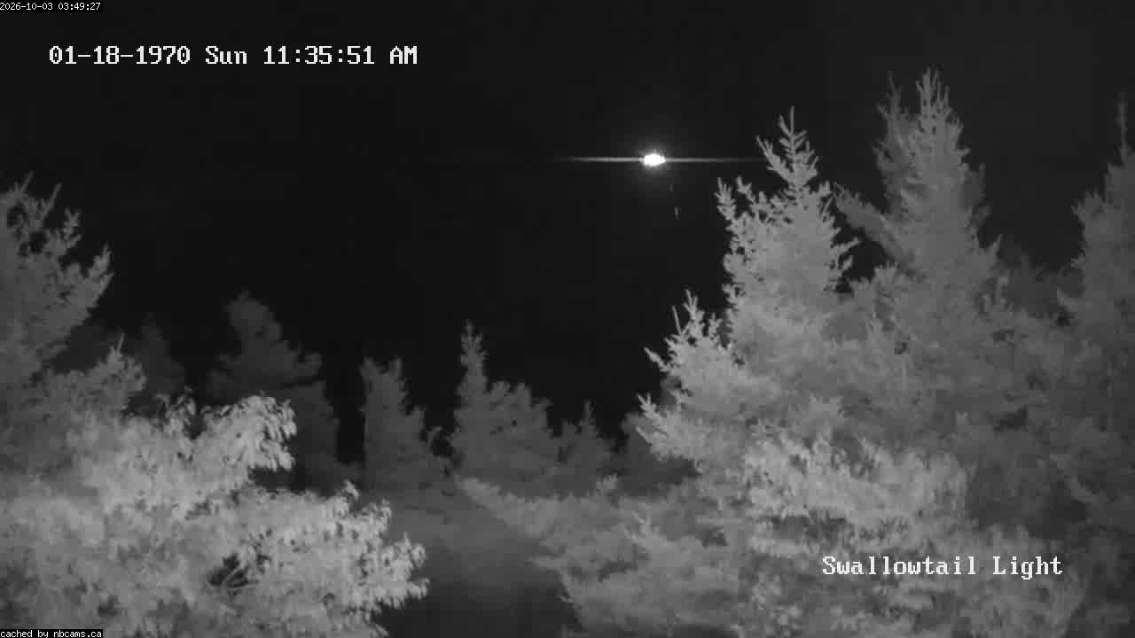 Web Cam image of Grand Manan (Swallowtail Light House)