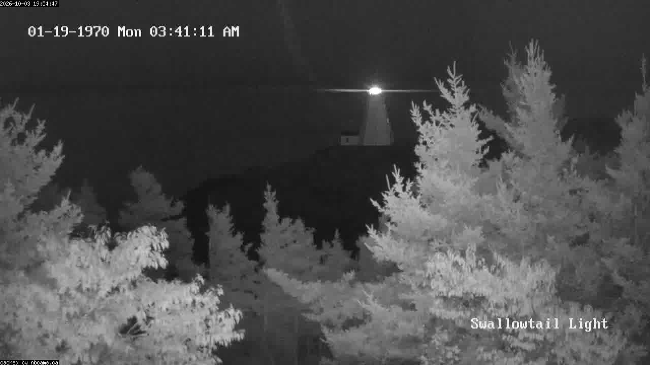 Web Cam image of Grand Manan (Swallowtail Light House)