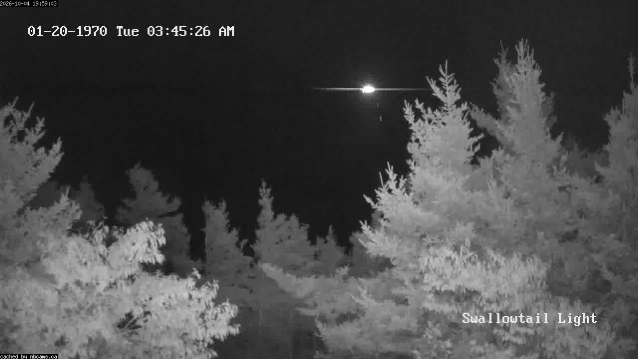 Web Cam image of Grand Manan (Swallowtail Light House)