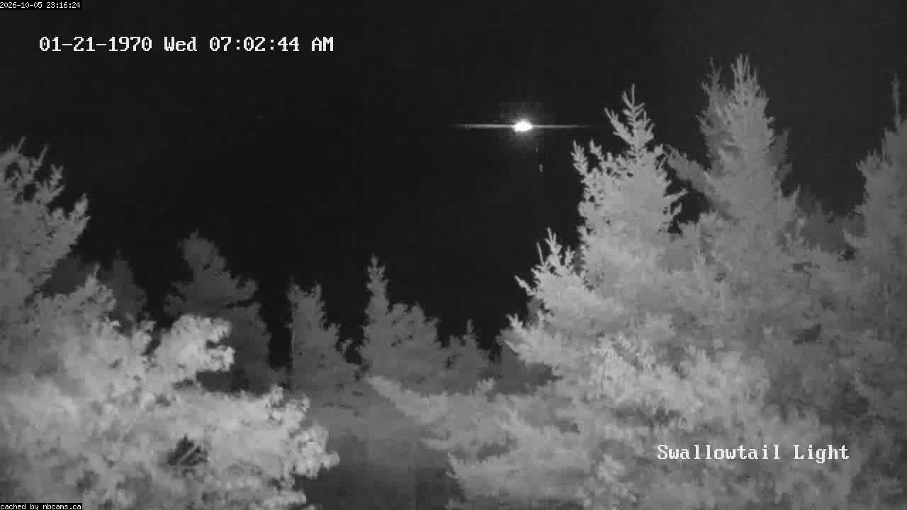 Web Cam image of Grand Manan (Swallowtail Light House)