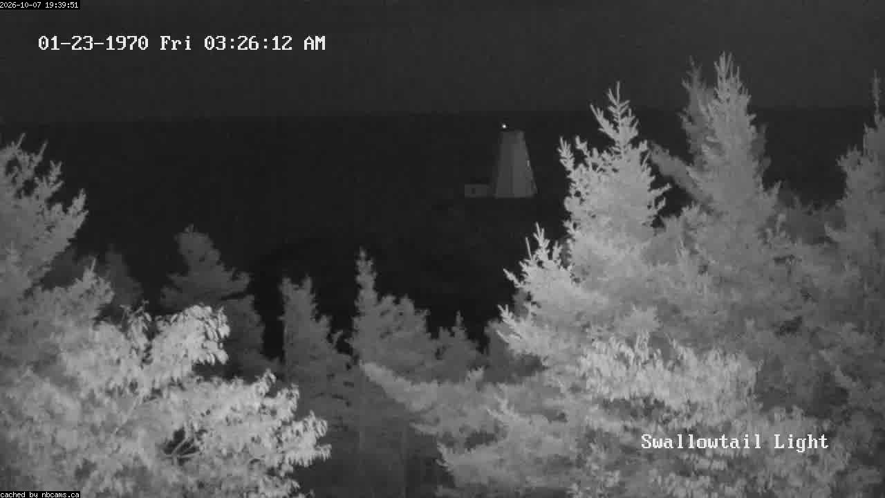 Web Cam image of Grand Manan (Swallowtail Light House)