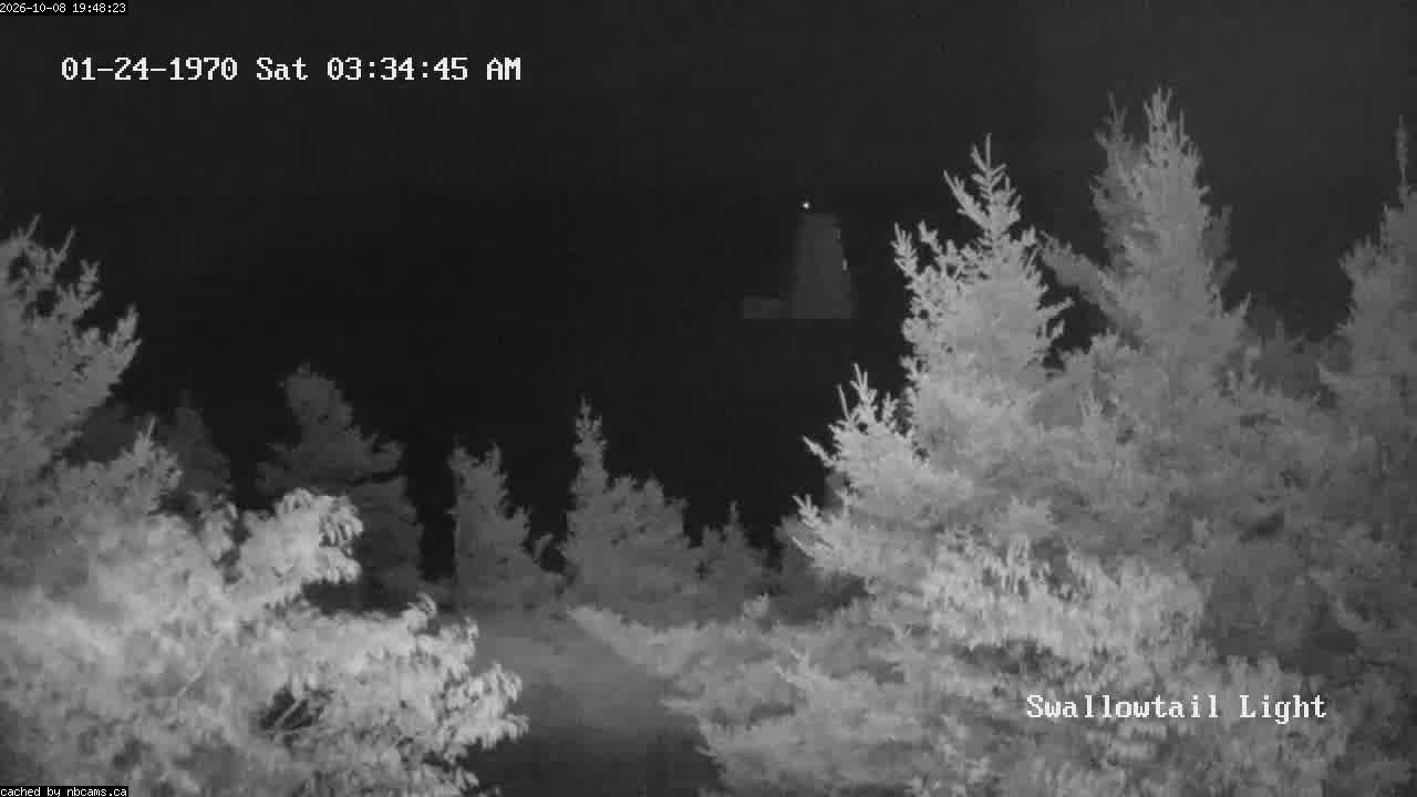 Web Cam image of Grand Manan (Swallowtail Light House)