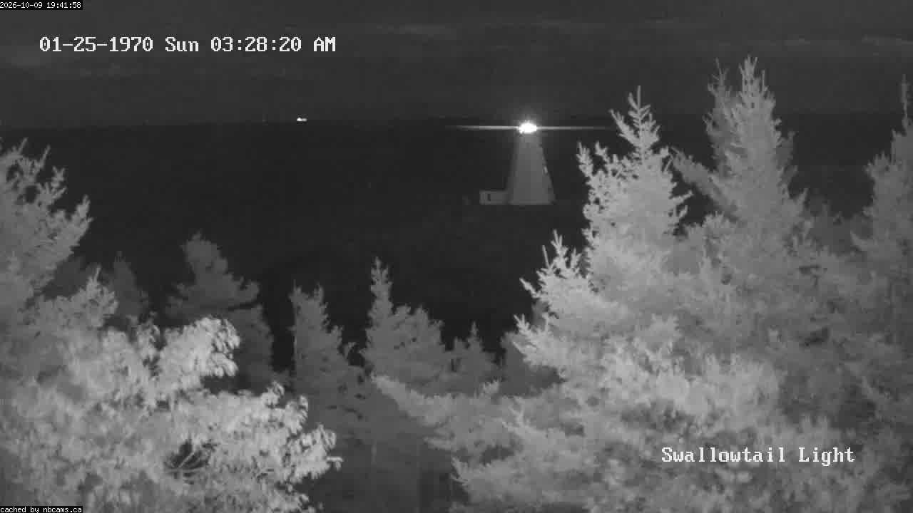 Web Cam image of Grand Manan (Swallowtail Light House)