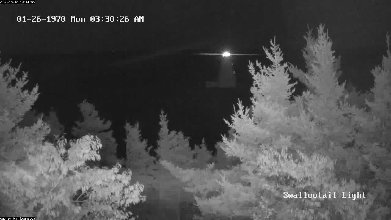 Web Cam image of Grand Manan (Swallowtail Light House)