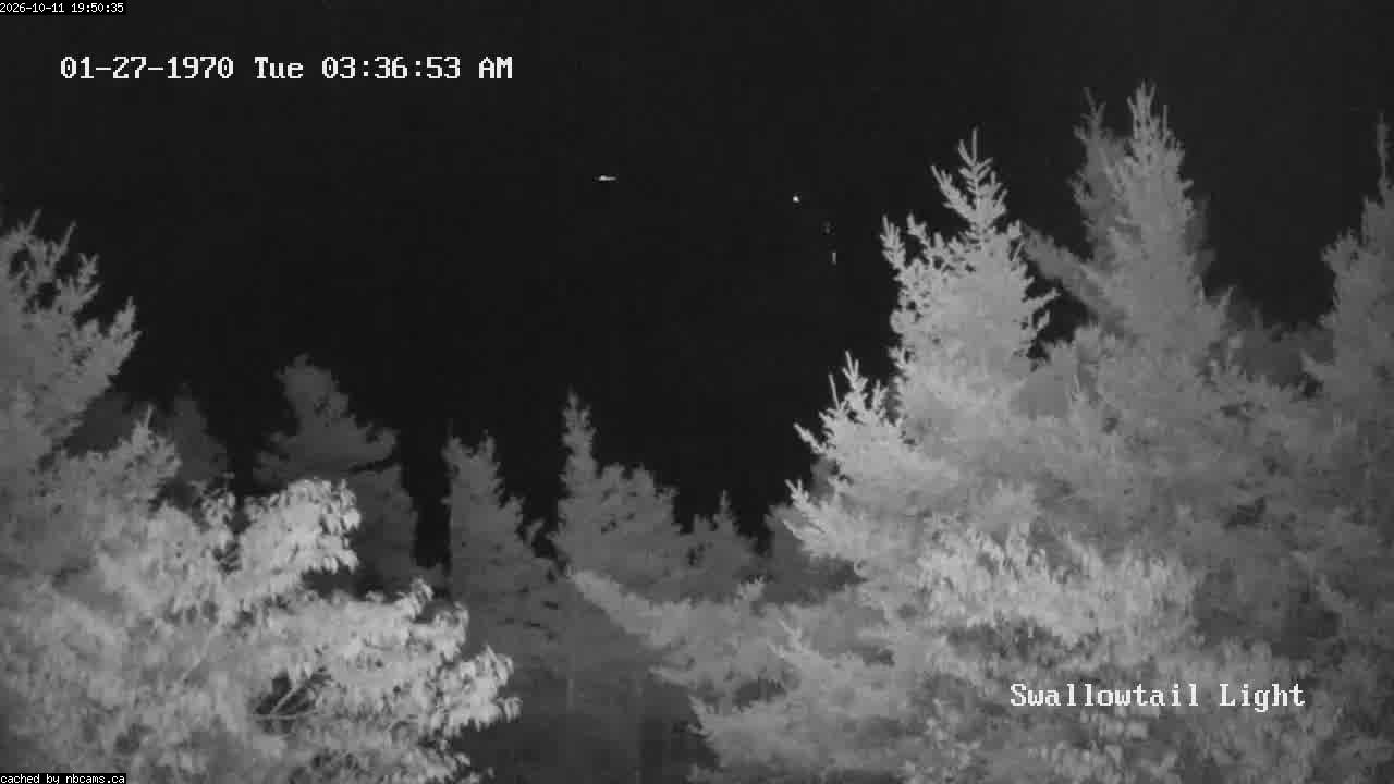 Web Cam image of Grand Manan (Swallowtail Light House)