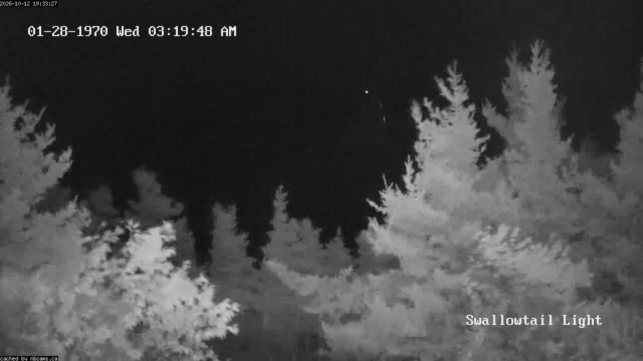 Web Cam image of Grand Manan (Swallowtail Light House)