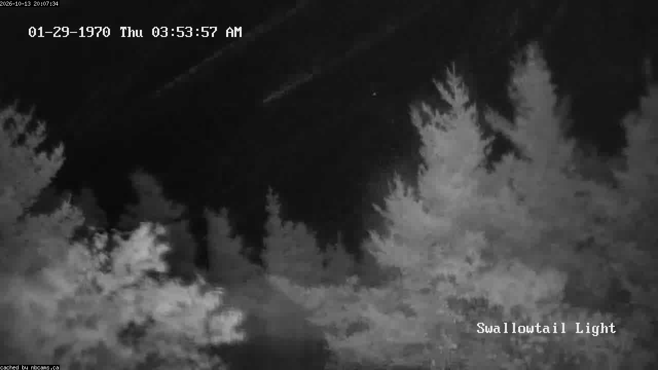 Web Cam image of Grand Manan (Swallowtail Light House)
