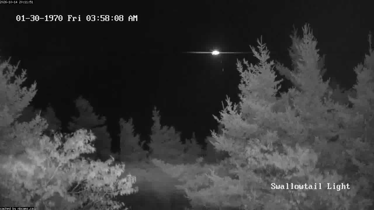 Web Cam image of Grand Manan (Swallowtail Light House)