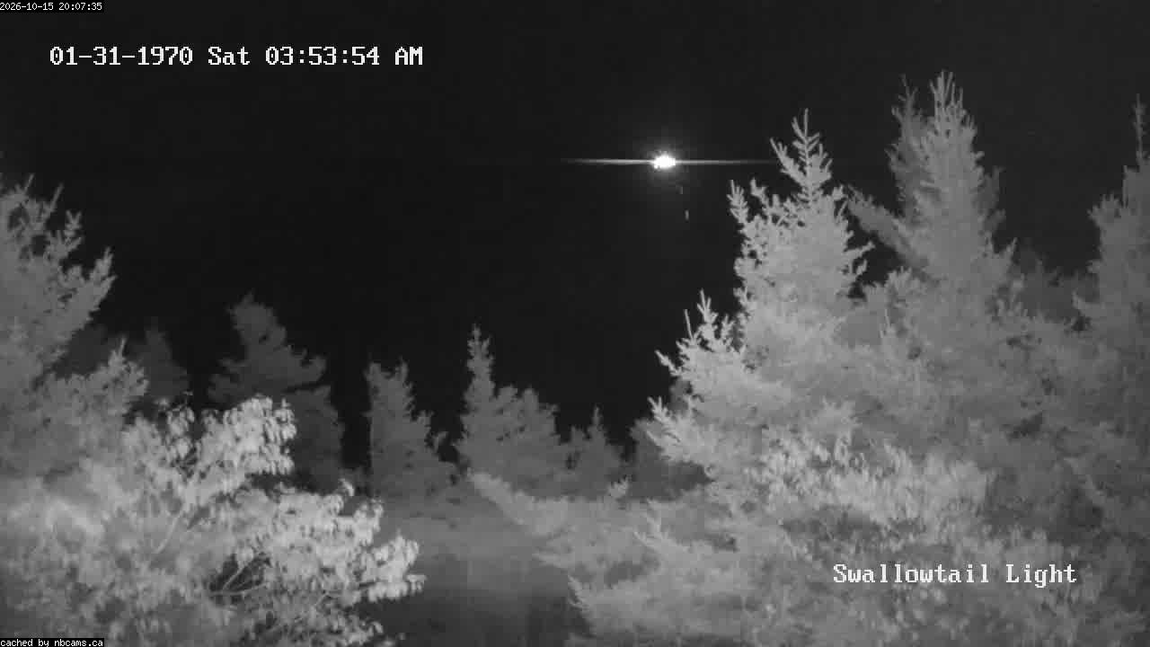 Web Cam image of Grand Manan (Swallowtail Light House)