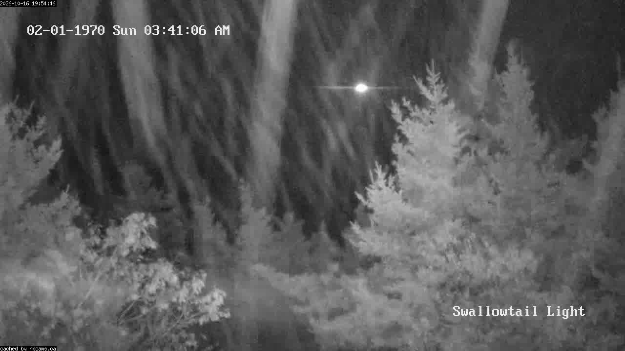 Web Cam image of Grand Manan (Swallowtail Light House)