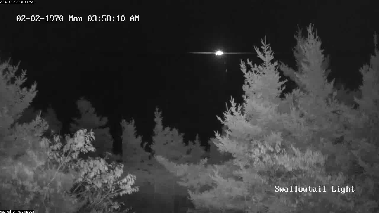 Web Cam image of Grand Manan (Swallowtail Light House)