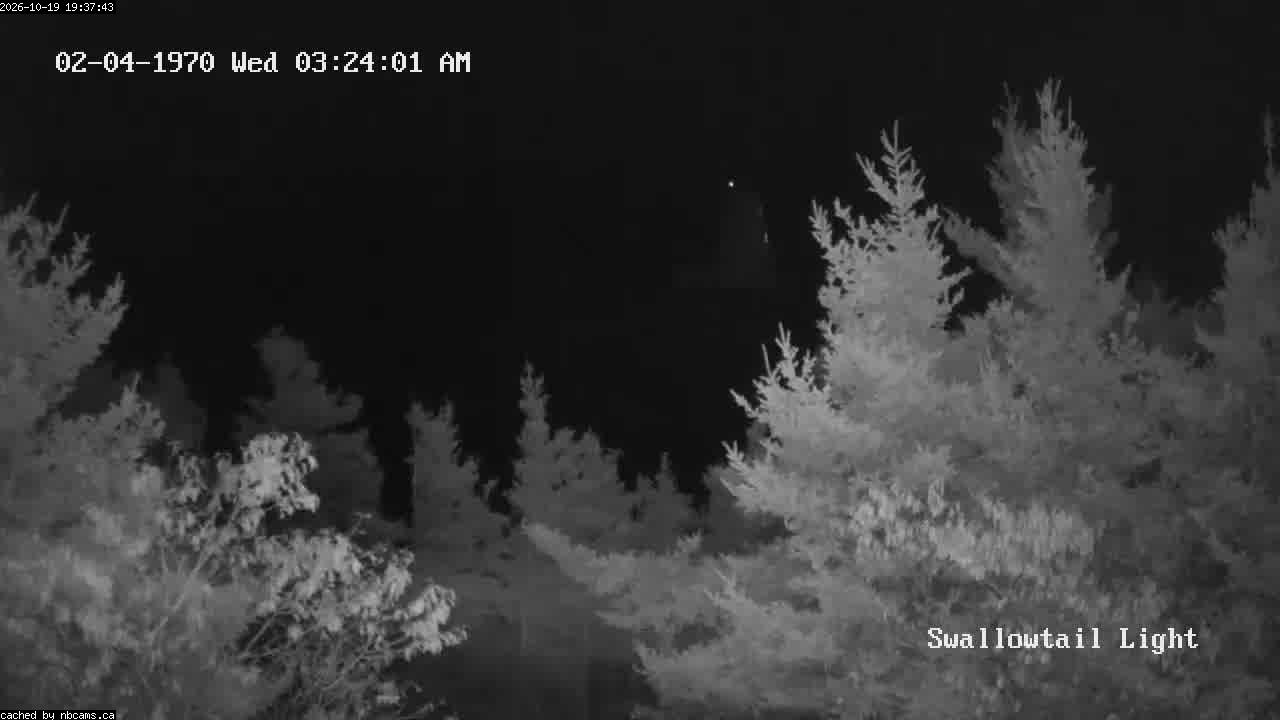 Web Cam image of Grand Manan (Swallowtail Light House)