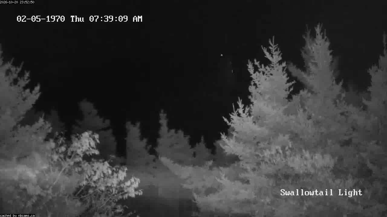 Web Cam image of Grand Manan (Swallowtail Light House)