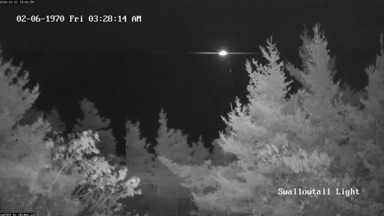 Web Cam image of Grand Manan (Swallowtail Light House)