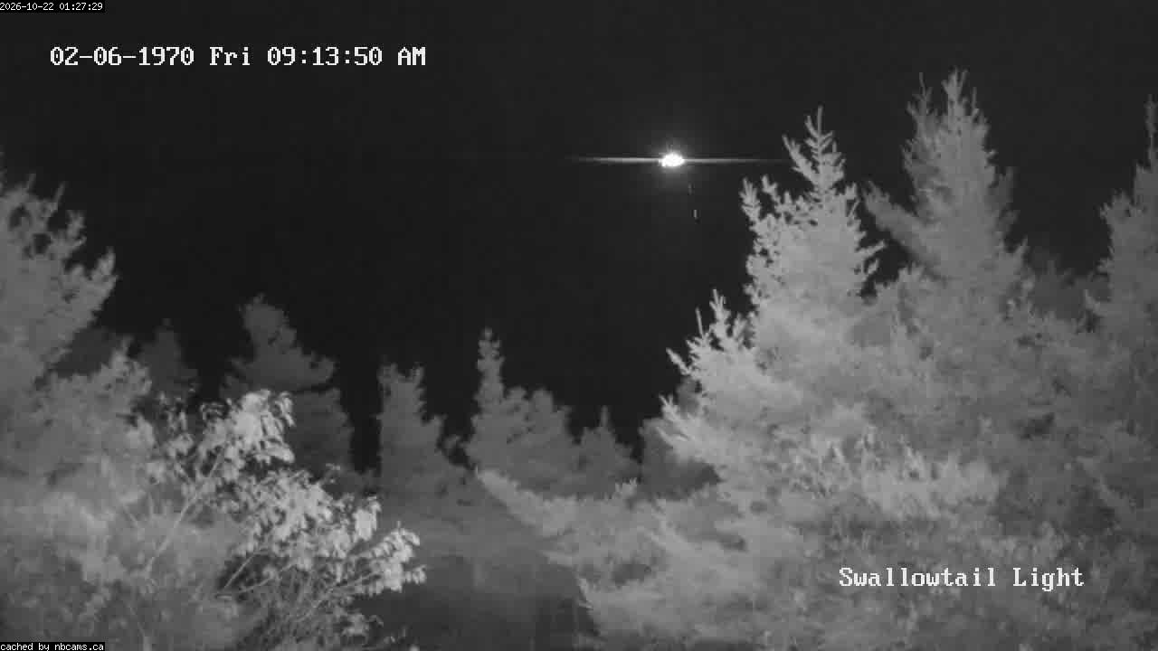 Web Cam image of Grand Manan (Swallowtail Light House)