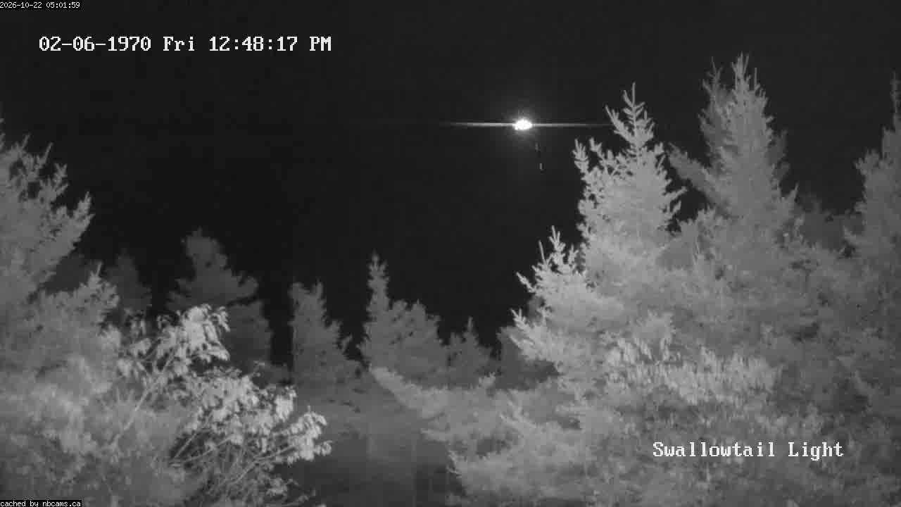 Web Cam image of Grand Manan (Swallowtail Light House)