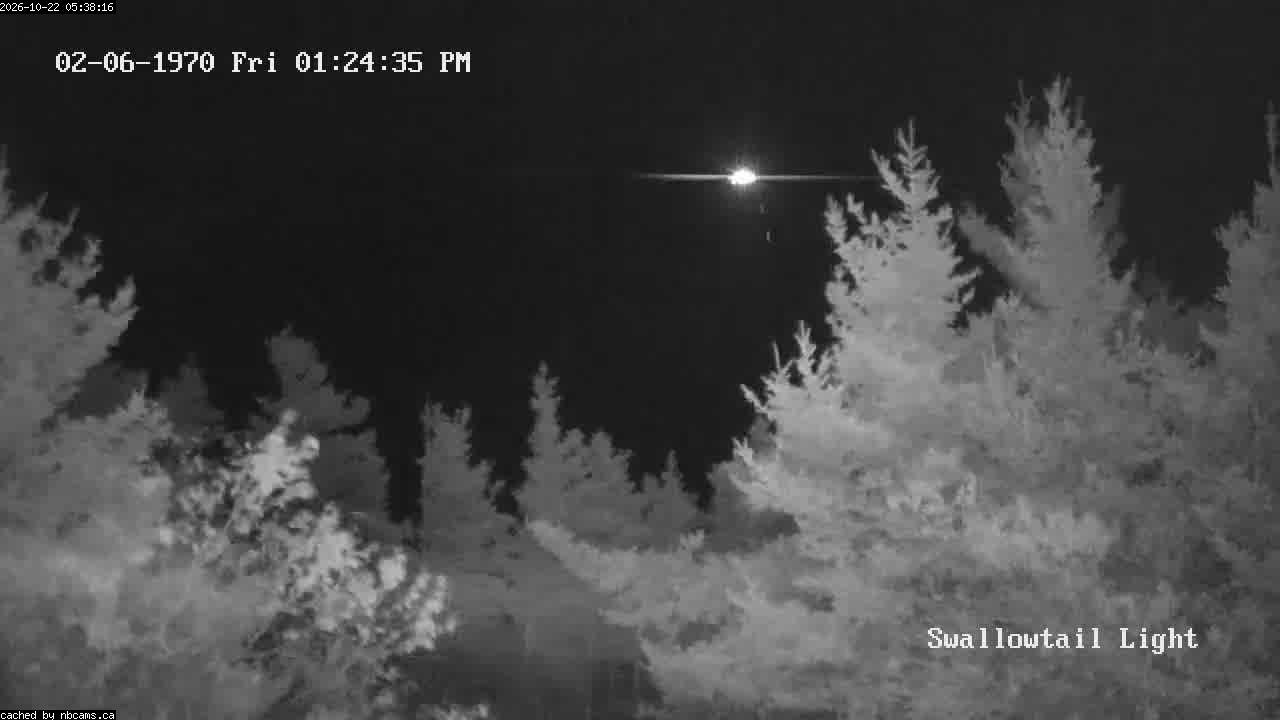 Web Cam image of Grand Manan (Swallowtail Light House)