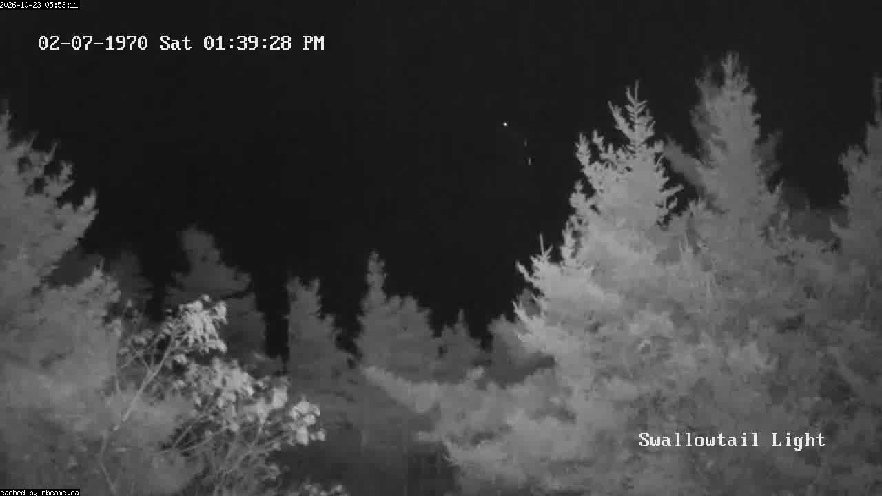 Web Cam image of Grand Manan (Swallowtail Light House)