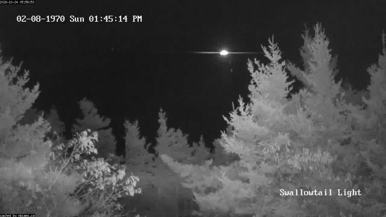 Web Cam image of Grand Manan (Swallowtail Light House)