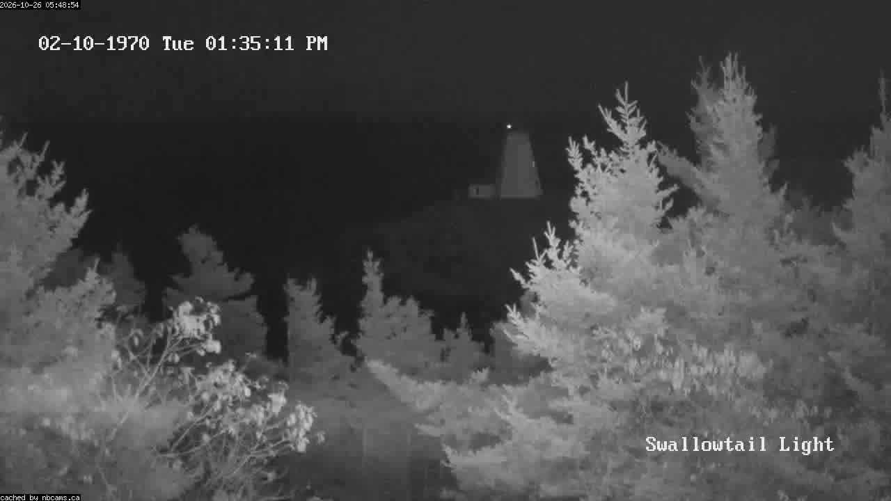 Web Cam image of Grand Manan (Swallowtail Light House)