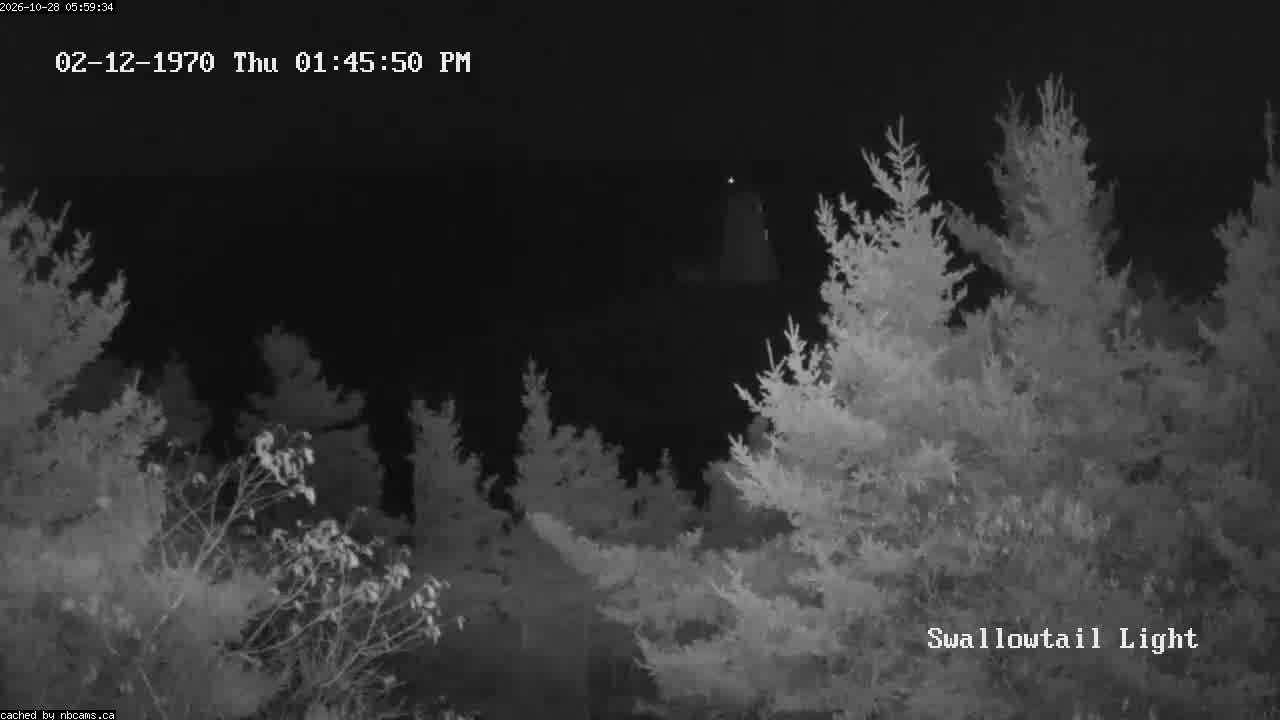Web Cam image of Grand Manan (Swallowtail Light House)