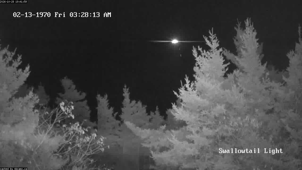 Web Cam image of Grand Manan (Swallowtail Light House)
