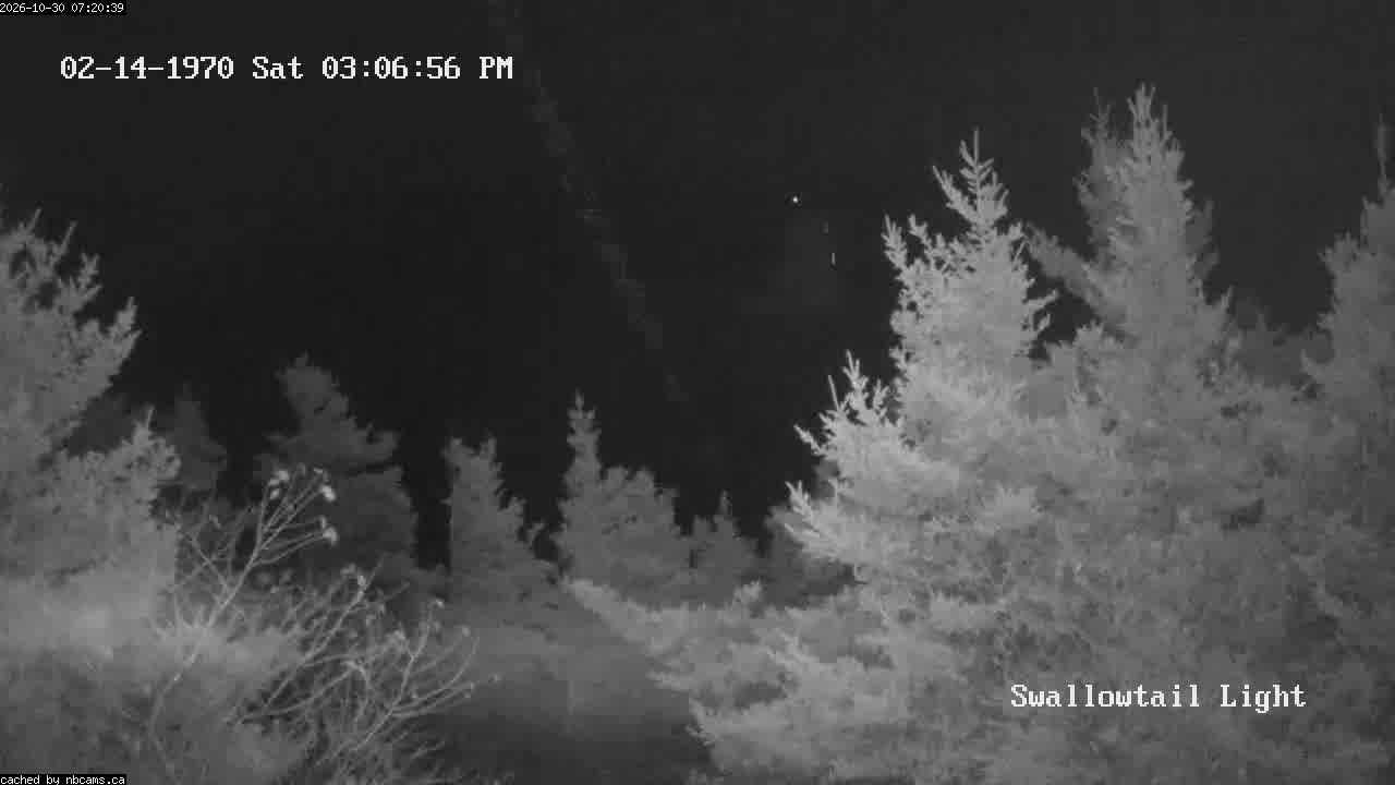 Web Cam image of Grand Manan (Swallowtail Light House)