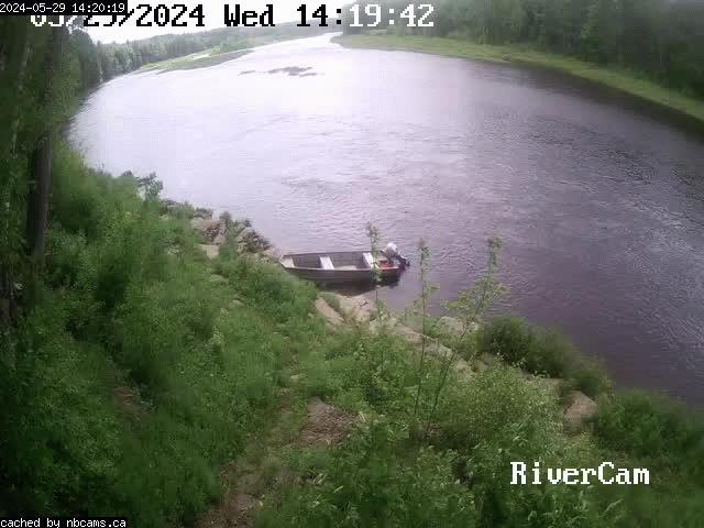 Web Cam image of Boiestown (Miramichi River)