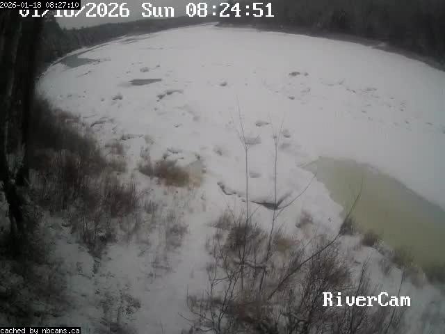 Web Cam image of Boiestown (Miramichi River)