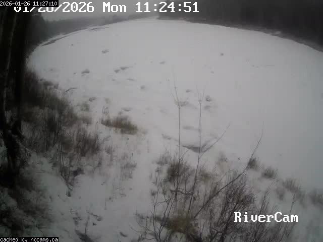 Web Cam image of Boiestown (Miramichi River)
