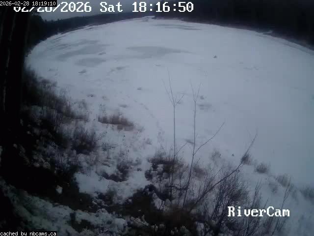 Web Cam image of Boiestown (Miramichi River)