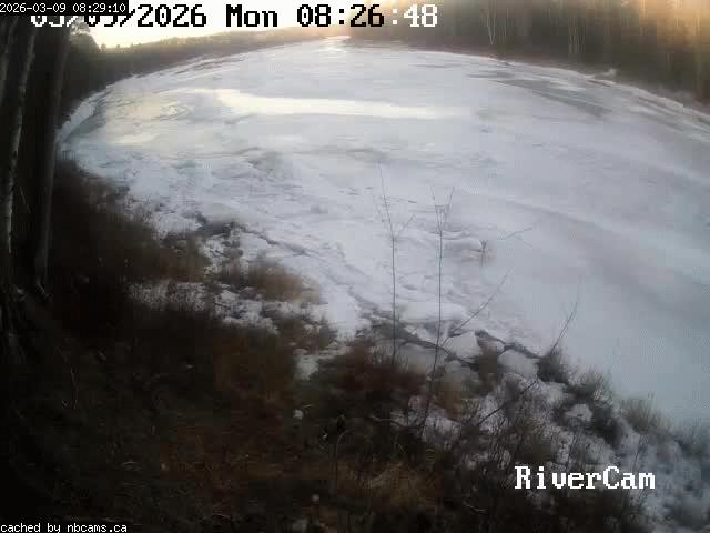 Web Cam image of Boiestown (Miramichi River)