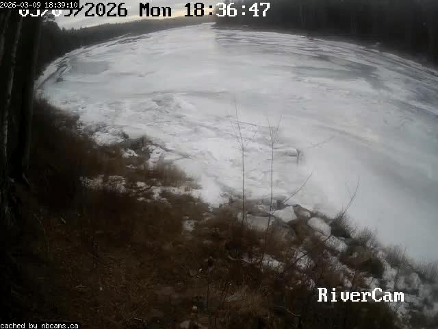 Web Cam image of Boiestown (Miramichi River)