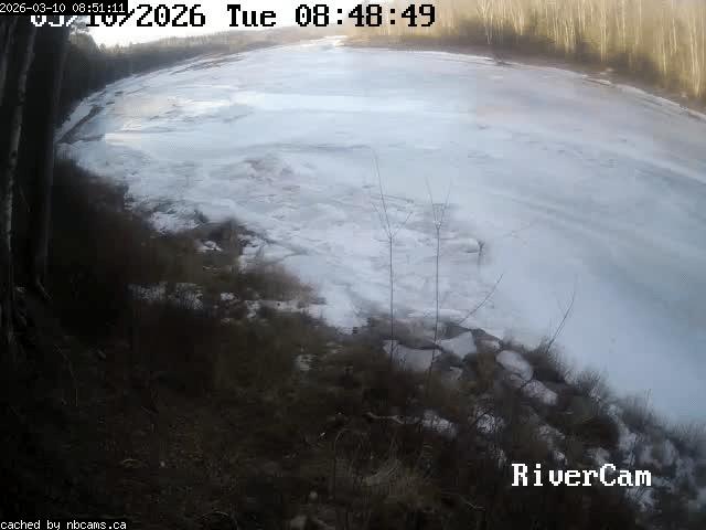 Web Cam image of Boiestown (Miramichi River)