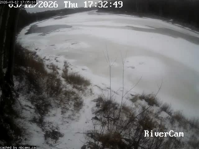 Web Cam image of Boiestown (Miramichi River)