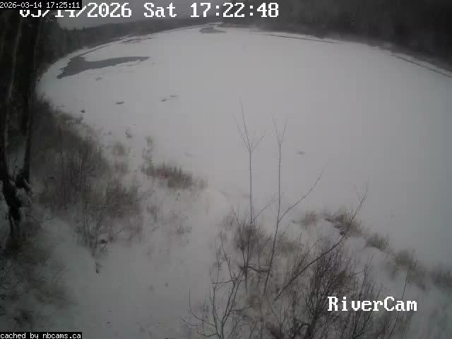 Web Cam image of Boiestown (Miramichi River)
