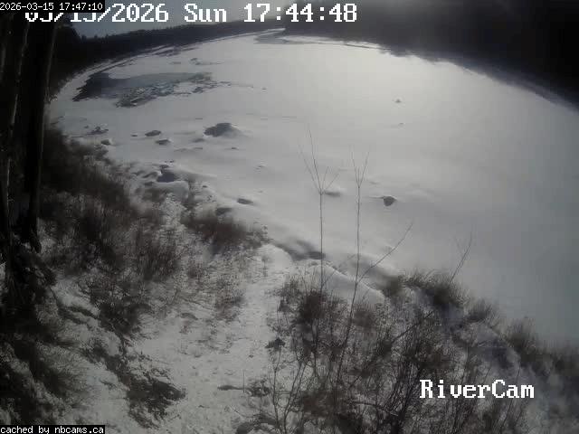 Web Cam image of Boiestown (Miramichi River)