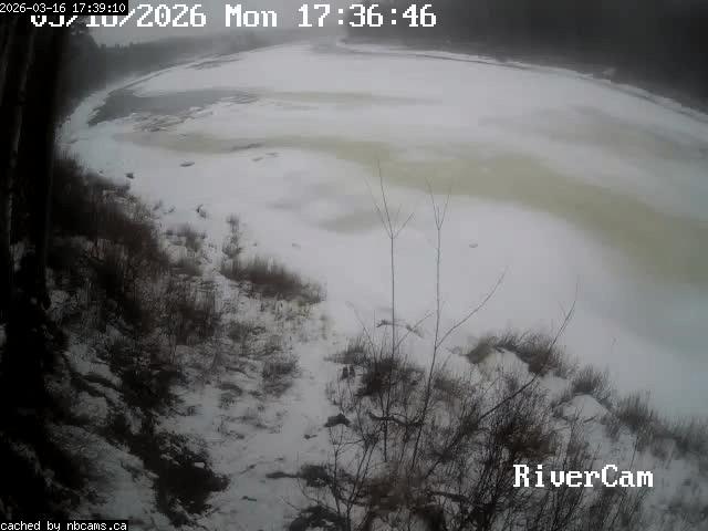 Web Cam image of Boiestown (Miramichi River)